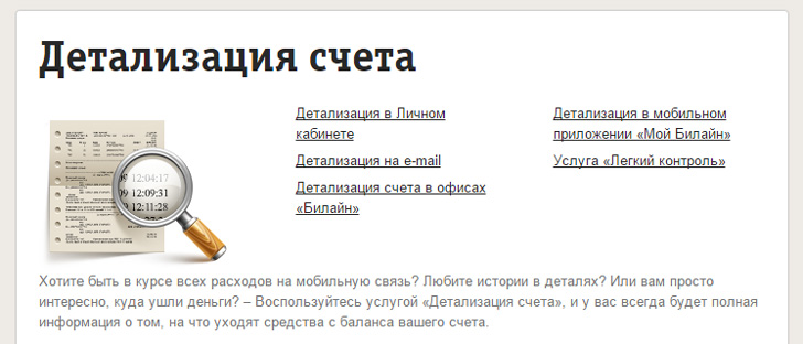 Детализация счета Билайн