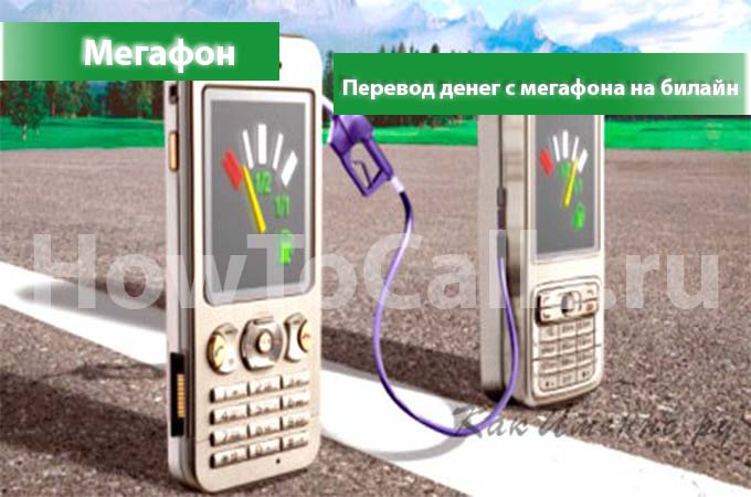 Как перевести деньги с Мегафона на Билайн - инструкция по переводу